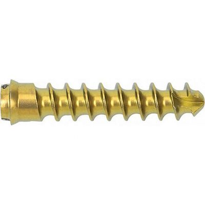 Instrumento ortopédico de la cirugía del tornillo cervical anterior para la fijación cervical